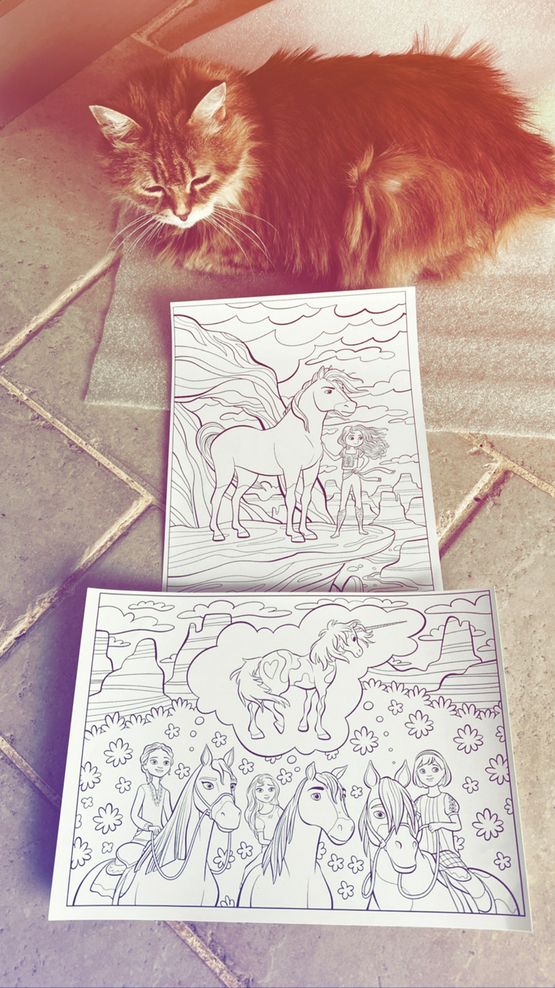 coloriages spirit dreamworks étalon des plaines indomptable 