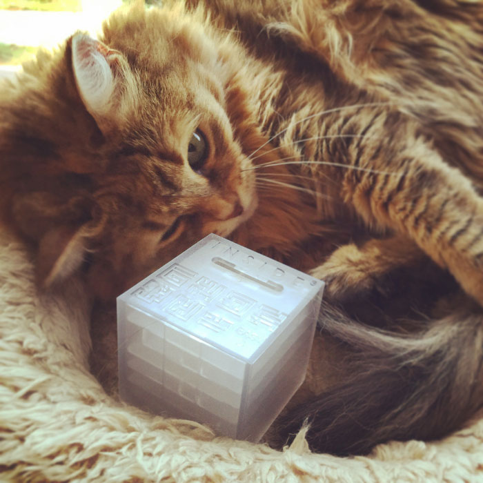 Brume is training to resolve the enigma.