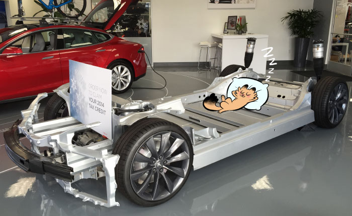 Tesla chassis, with a cat. (not included)