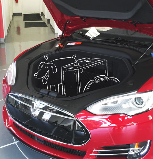 Tesla front trunk, or frunk.