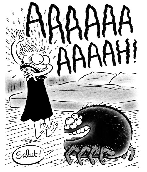 Spiders in California. 