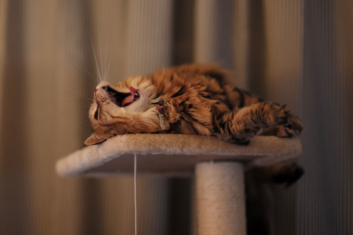 Picture with a Leica 240 M - by Laurel Duermael 