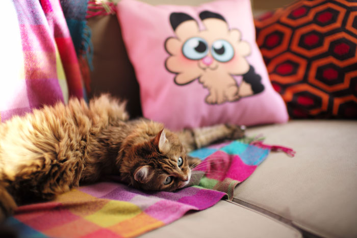 Picture with a Leica 240 M - by Laurel Duermael 