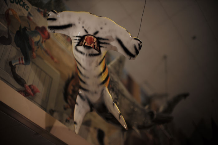 Picture with a Leica 240 M - by Laurel Duermael 