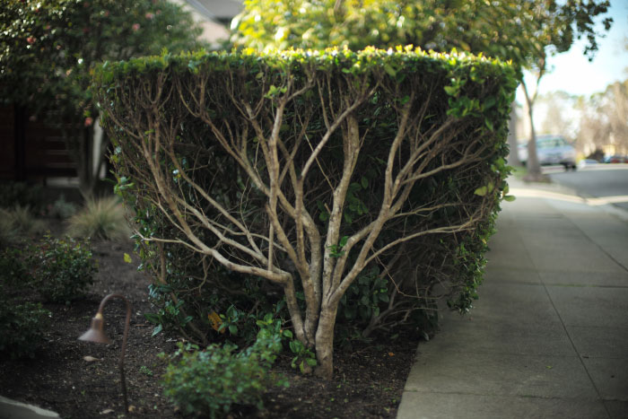 Picture with a Leica 240 M - by Laurel Duermael 