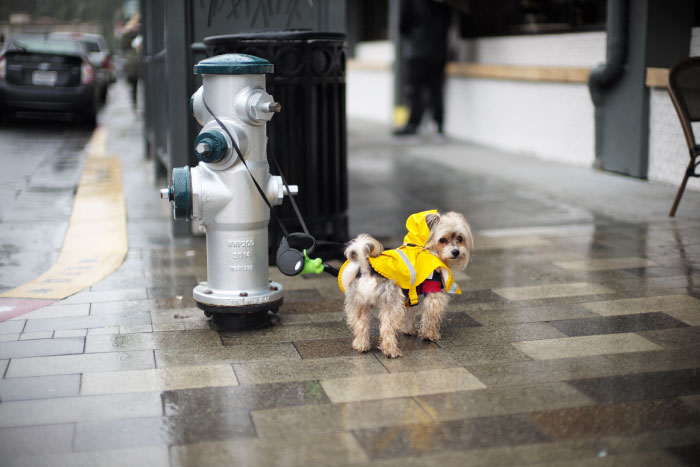 Picture with a Leica M 240, by Laurel Duermael 