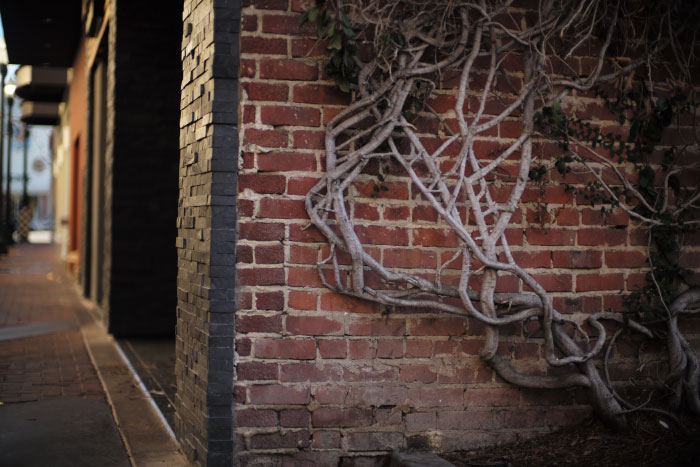 Picture with a Leica M 240, by Laurel Duermael 