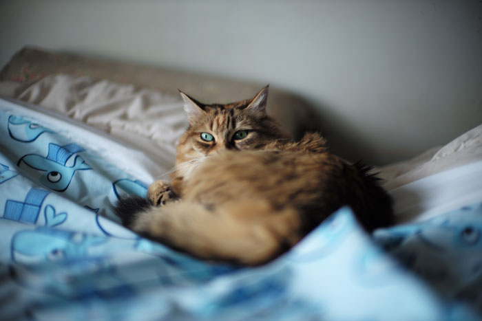 Picture with a Leica M 240, by Laurel Duermael 