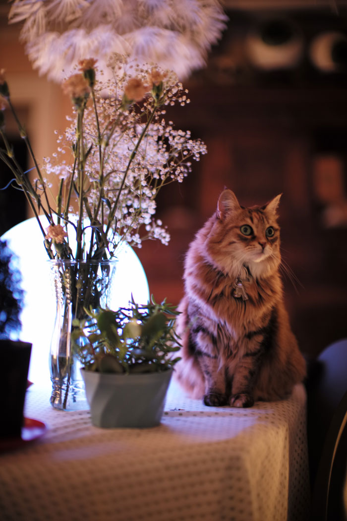 Picture with a Leica M 240, by Laurel Duermael 