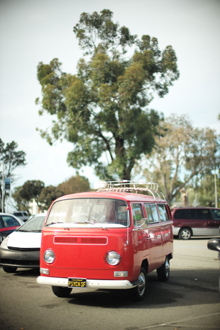 picture by Laurel Duermael 