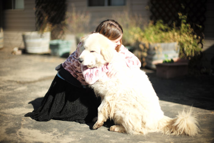 Un chien géant - Photo Laurel Duermael 