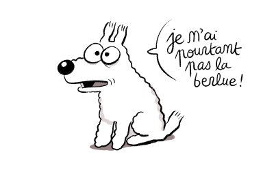 Une bonne nouvelle pour nos amis belges ! Les frais de port pour "Comme convenu" seront gratuits pour la Belgique ! 