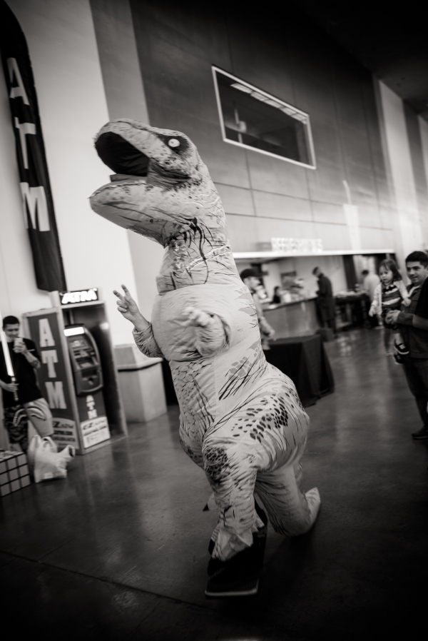La Silicon valley comicon - pictures by Laurel Duermael 